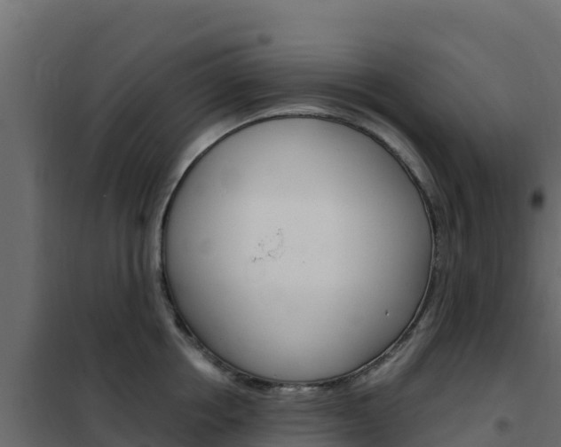 X0000102490858200808081054
