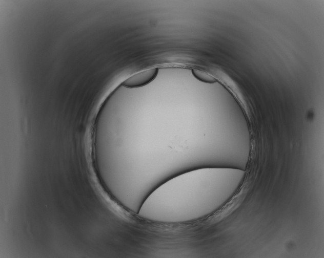 X0000102490859200808081054