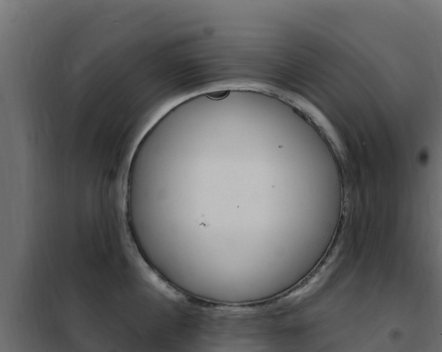 X0000102490860200808081054