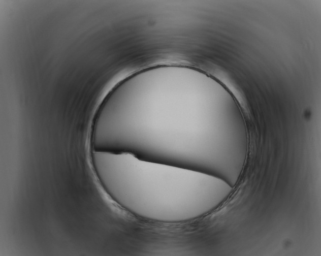 X0000102490861200808081054