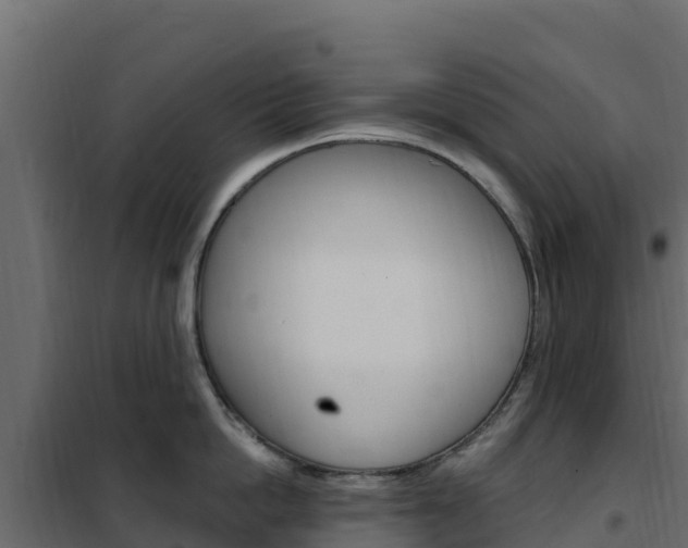 X0000102490862200808081054