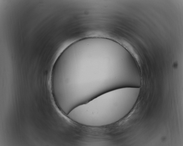 X0000102490863200808081054