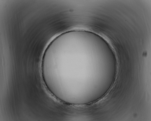 X0000102490864200808081054