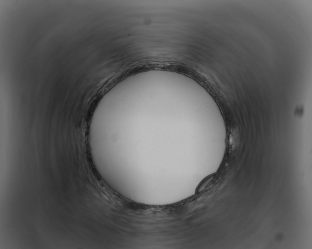 X0000102490867200808081054