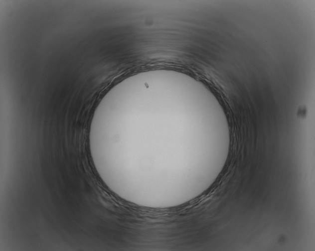 X0000102490868200808081054