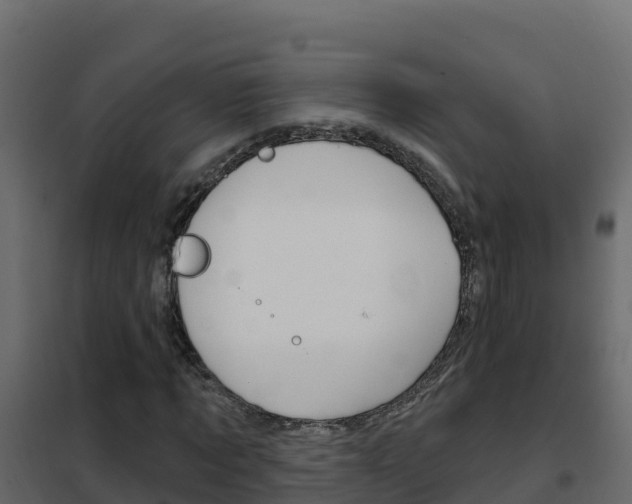 X0000102490869200808081054