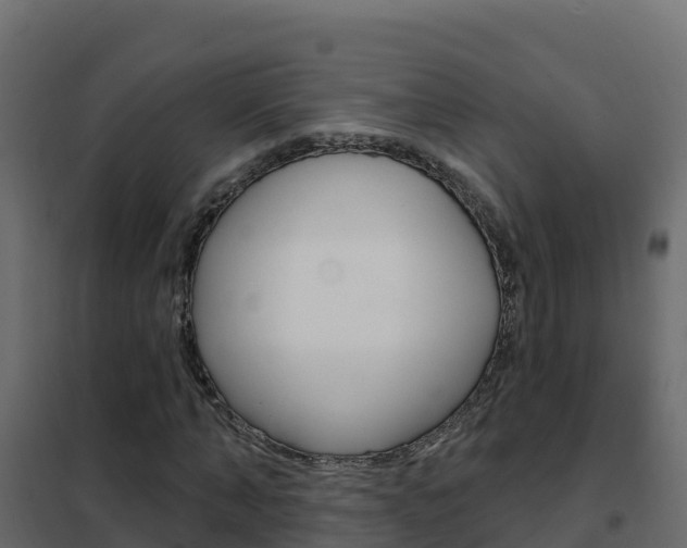 X0000102490870200808081054