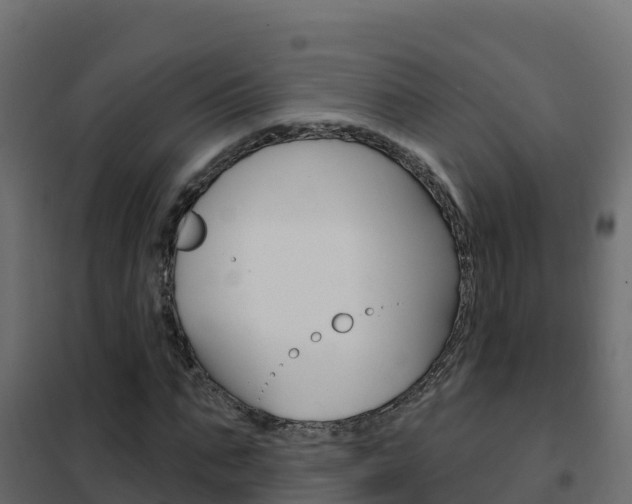 X0000102490871200808081054