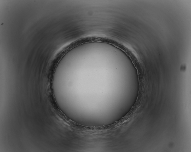 X0000102490872200808081054