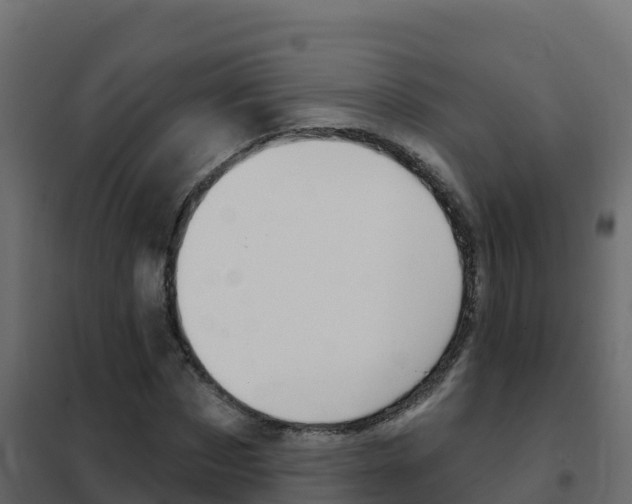 X0000102490873200808081054