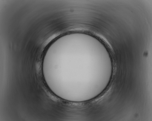 X0000102490874200808081054