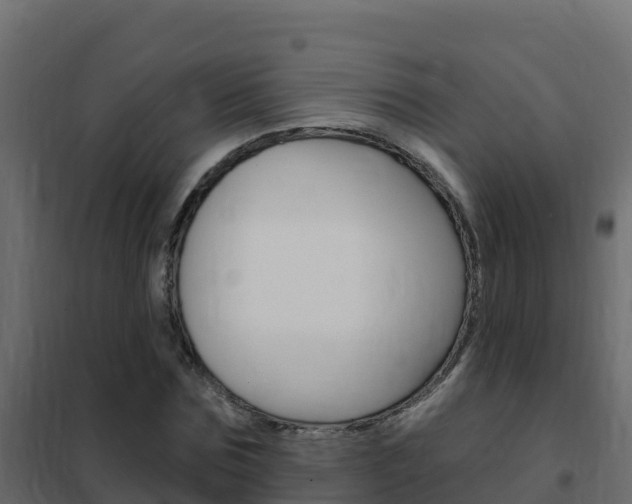 X0000102490875200808081054