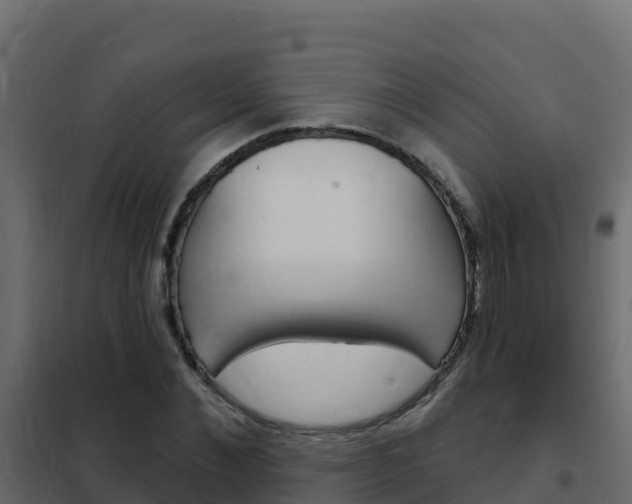 X0000102490876200808081054