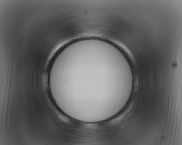 X0000102490878200808081054