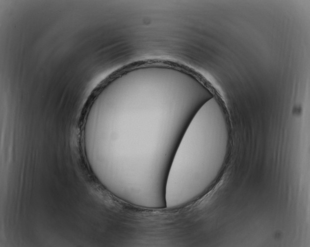 X0000102490879200808081054