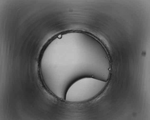 X0000102490880200808081054