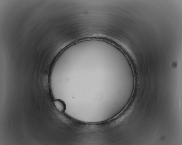 X0000102490881200808081054