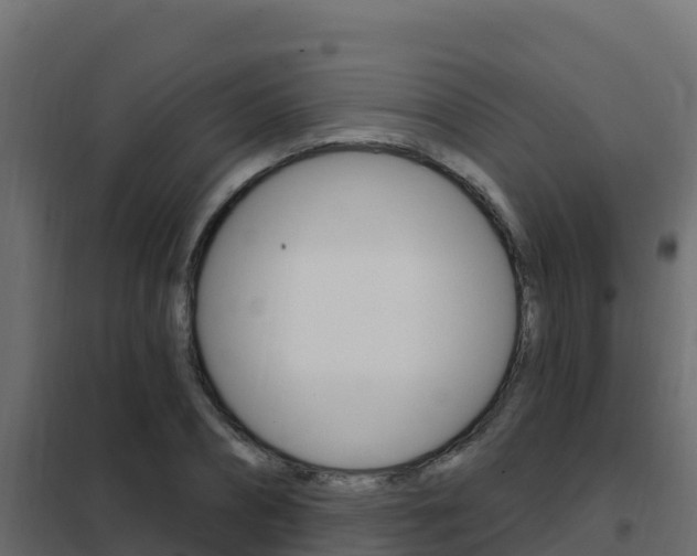 X0000102490882200808081054