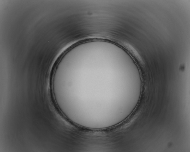 X0000102490884200808081054