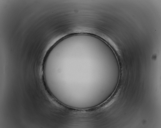 X0000102490885200808081054