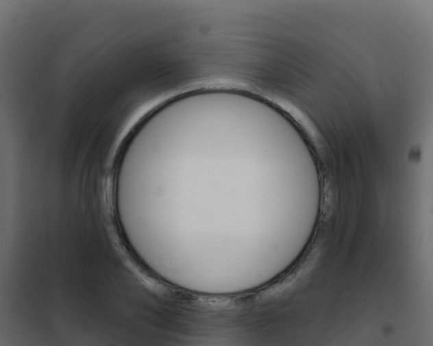 X0000102490886200808081053