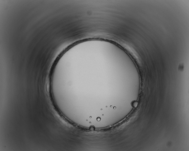 X0000102490888200808081053