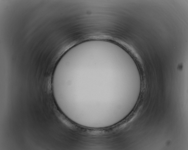 X0000102490889200808081053