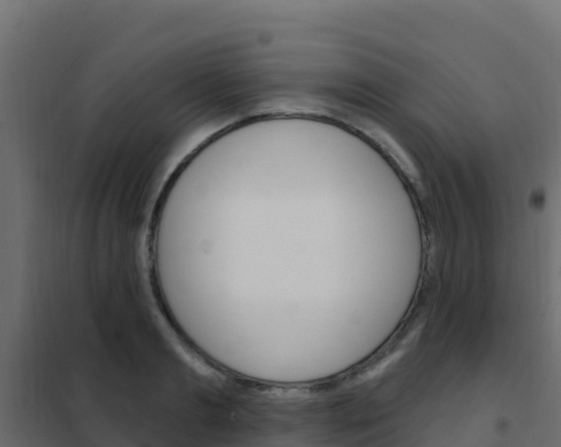 X0000102490893200808081053