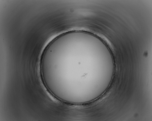 X0000102490894200808081053