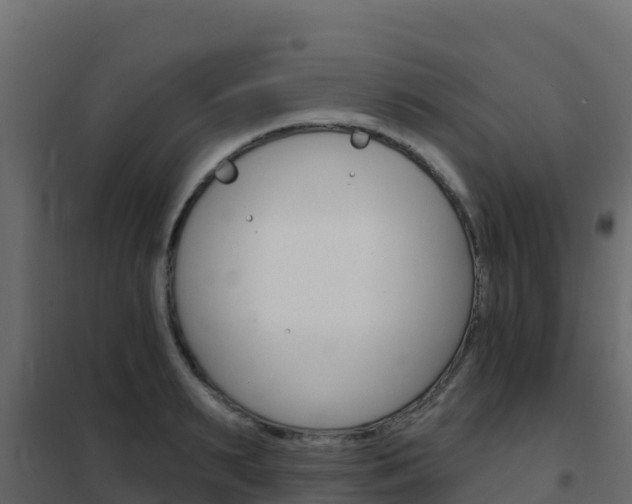 X0000102490895200808081053