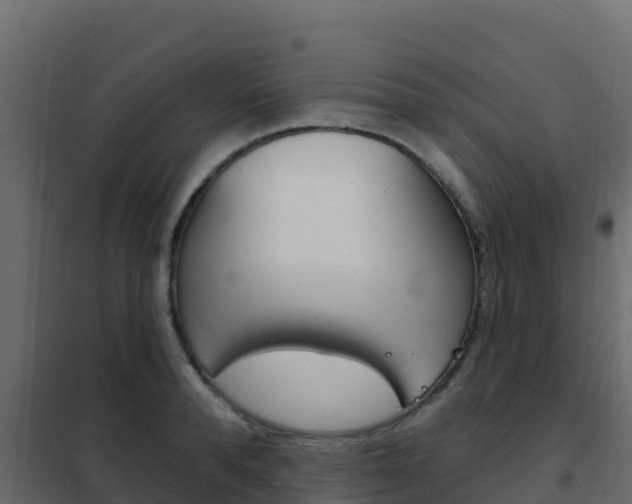X0000102490896200808081053