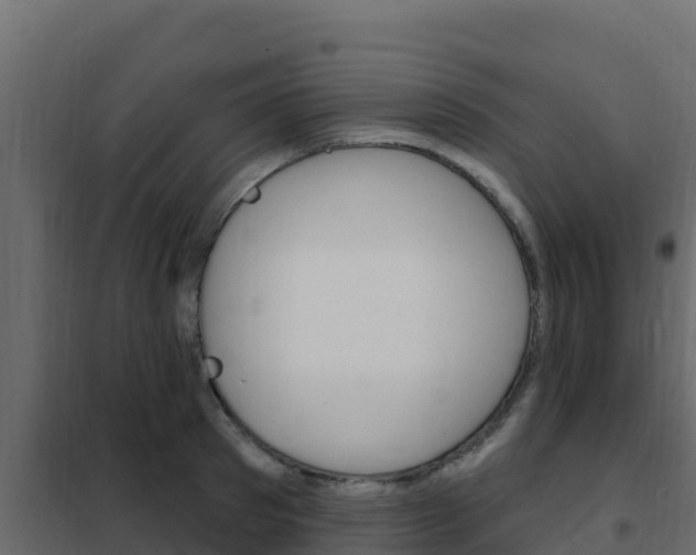 X0000102490897200808081053