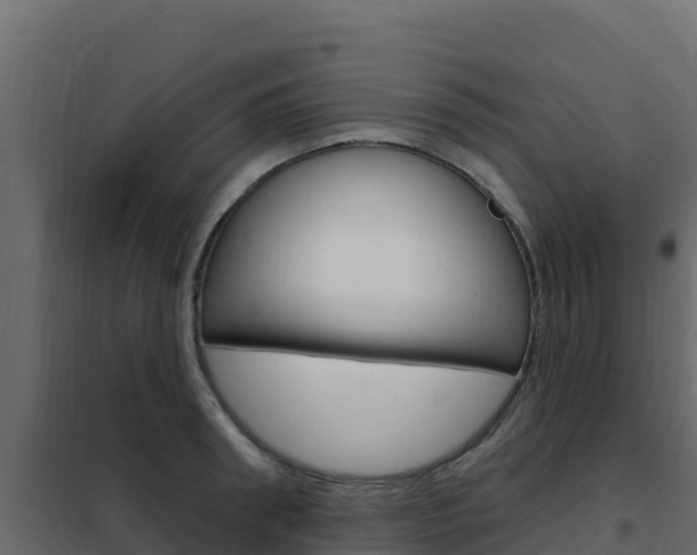 X0000102490898200808081053