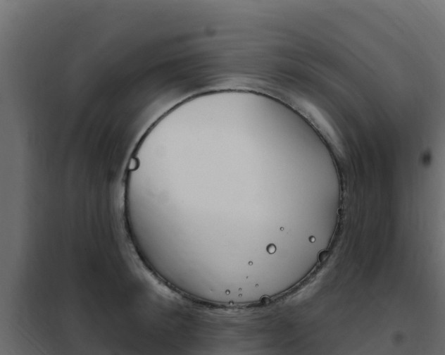 X0000102490900200808081053