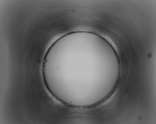X0000102490901200808081053