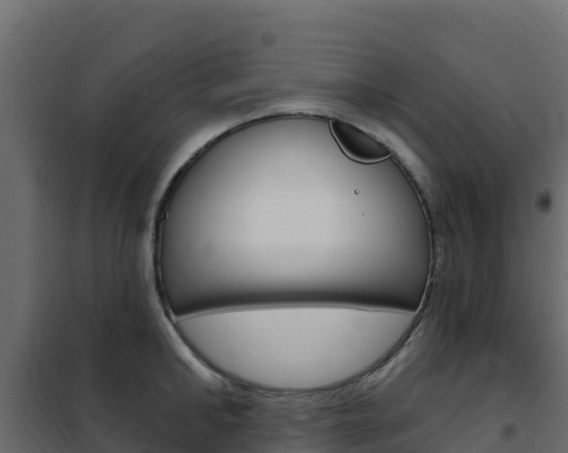 X0000102490902200808081053