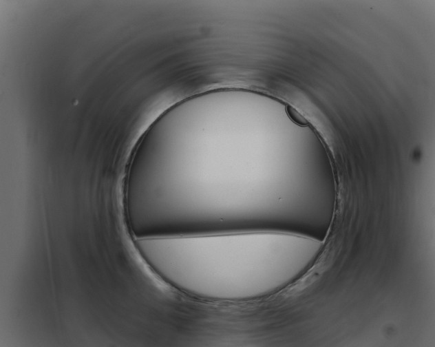 X0000102490906200808081053