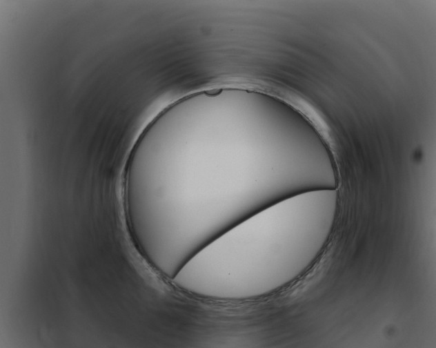 X0000102490907200808081053