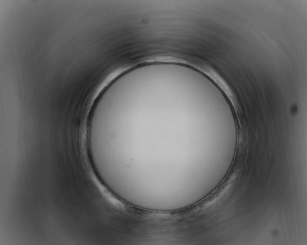X0000102490909200808081053