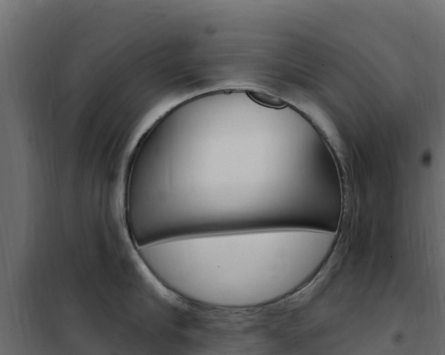 X0000102490910200808081053