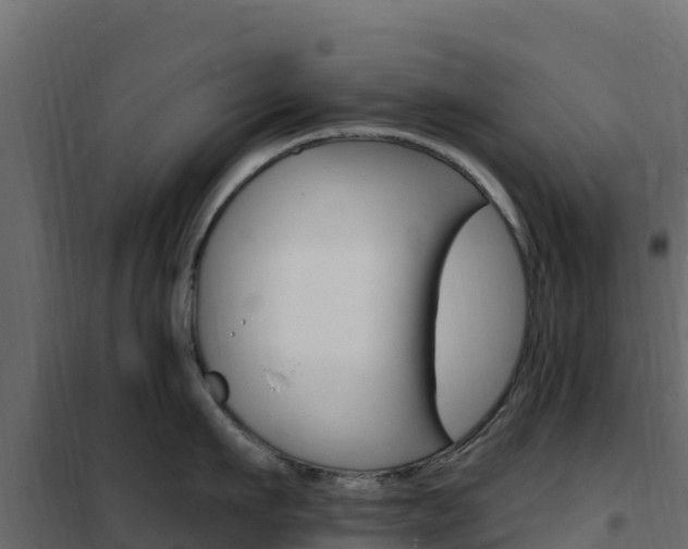 X0000102490911200808081053