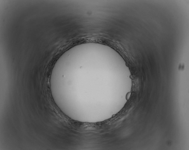 X0000102490913200808081052