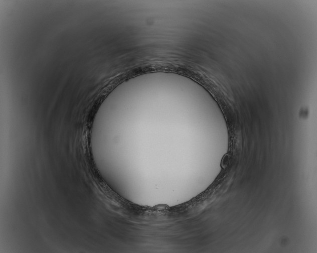 X0000102490914200808081052