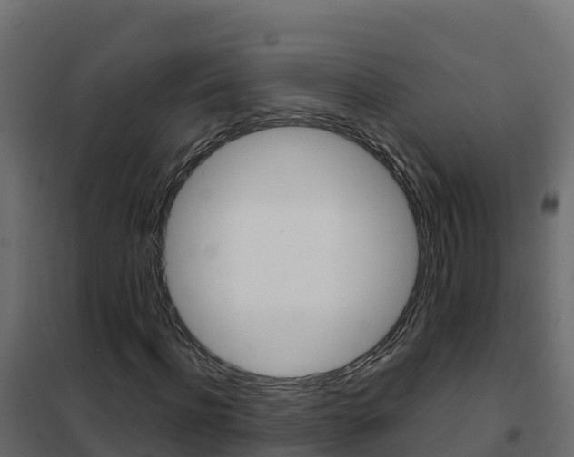 X0000102490916200808081053