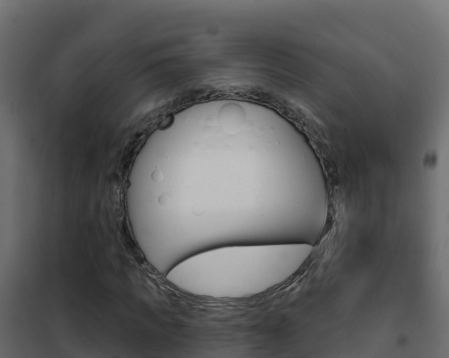 X0000102490917200808081053