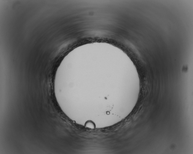 X0000102490918200808081053