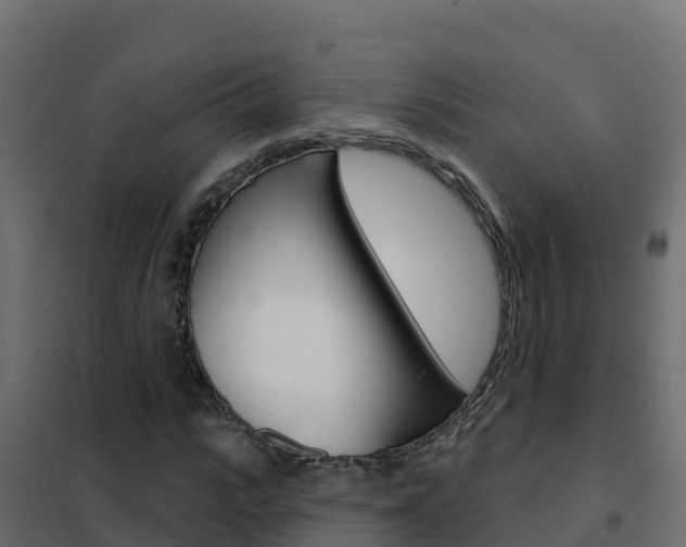 X0000102490919200808081053