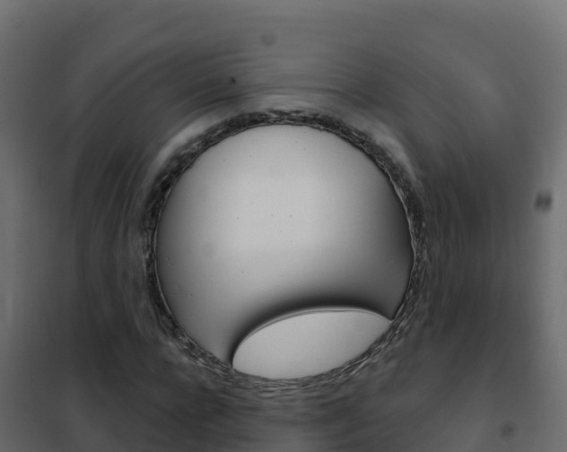 X0000102490920200808081053