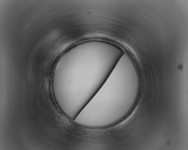 X0000102490921200808081053