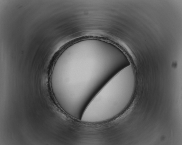 X0000102490923200808081053